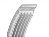 многоклиновый  ремень  V-Ribbed Belt:5PK1140